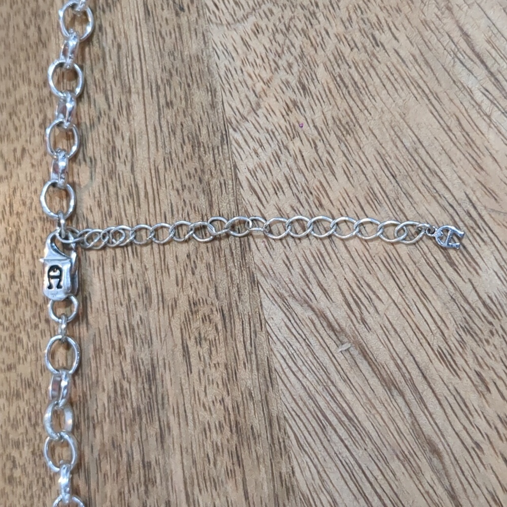 Charm Necklace - Picture 8 of 12